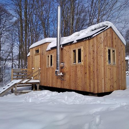 Вилла Celorocni Glamping V Pohodlnem Domecku Vyprachtice Экстерьер фото